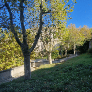le parc du campus de l'Iméra