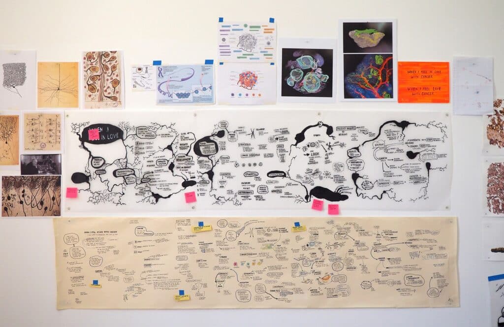 studio josune urrutia asua imera mindmap