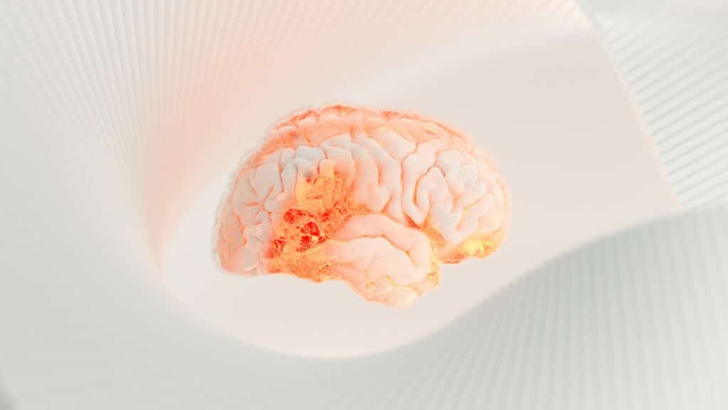 cerveau kommers 9a9tcxesy6c unsplash