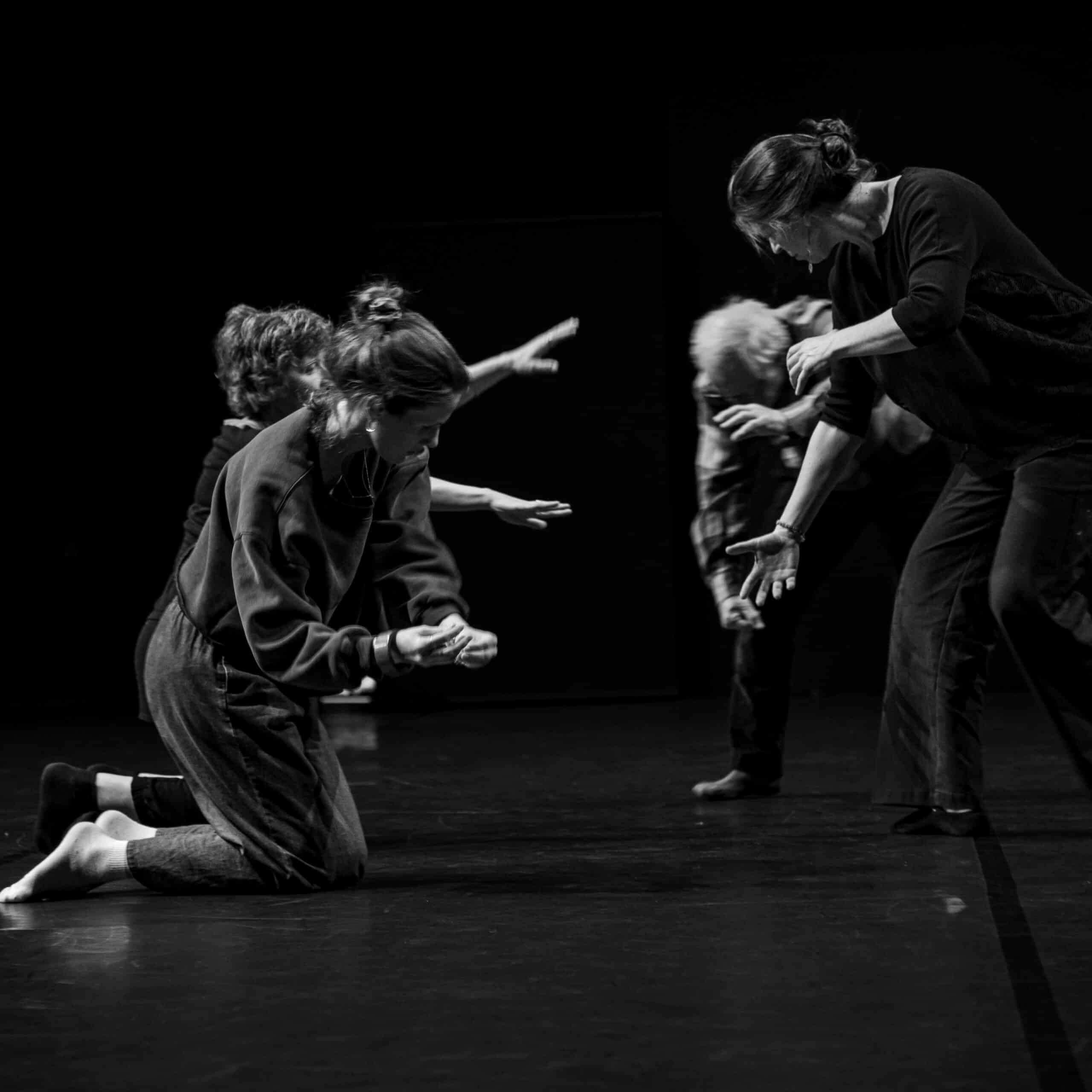 transitions sensibles carole baudin imera