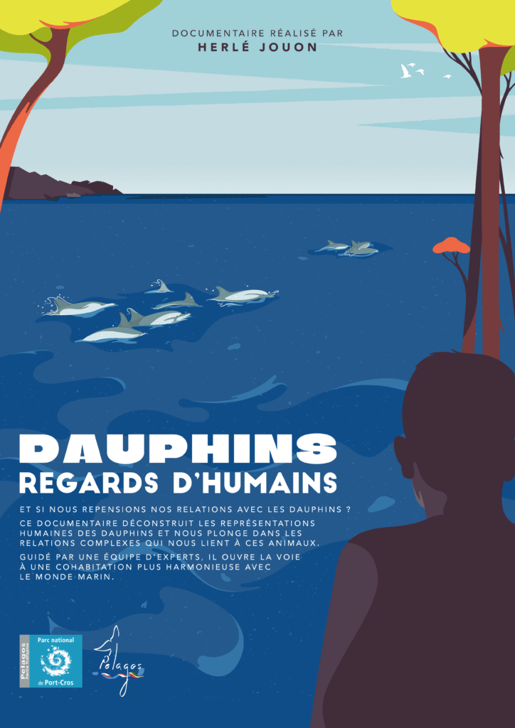 affiche dauphins regards humains ambra zambernardi