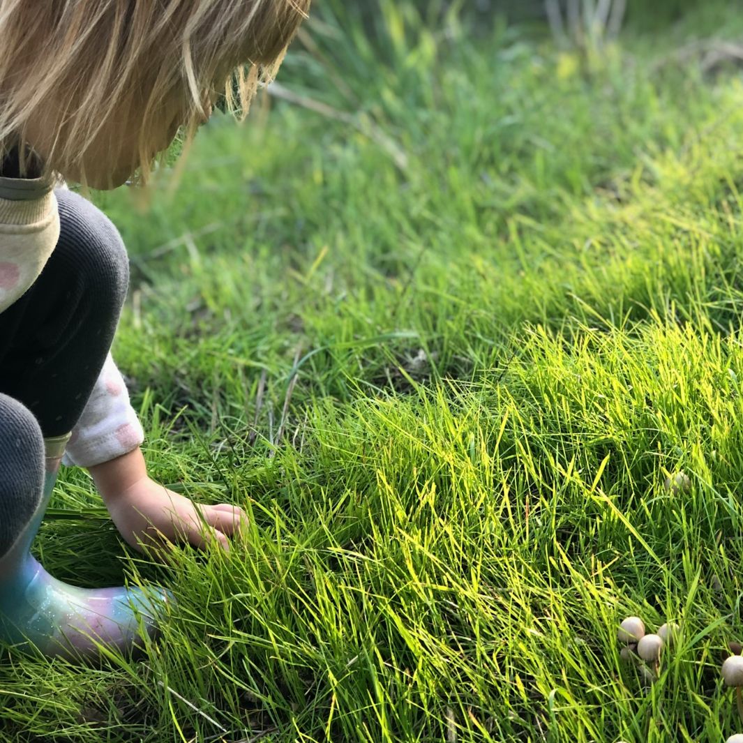 Photo d'un enfant curieux qui observe des champignons dans l'herbe