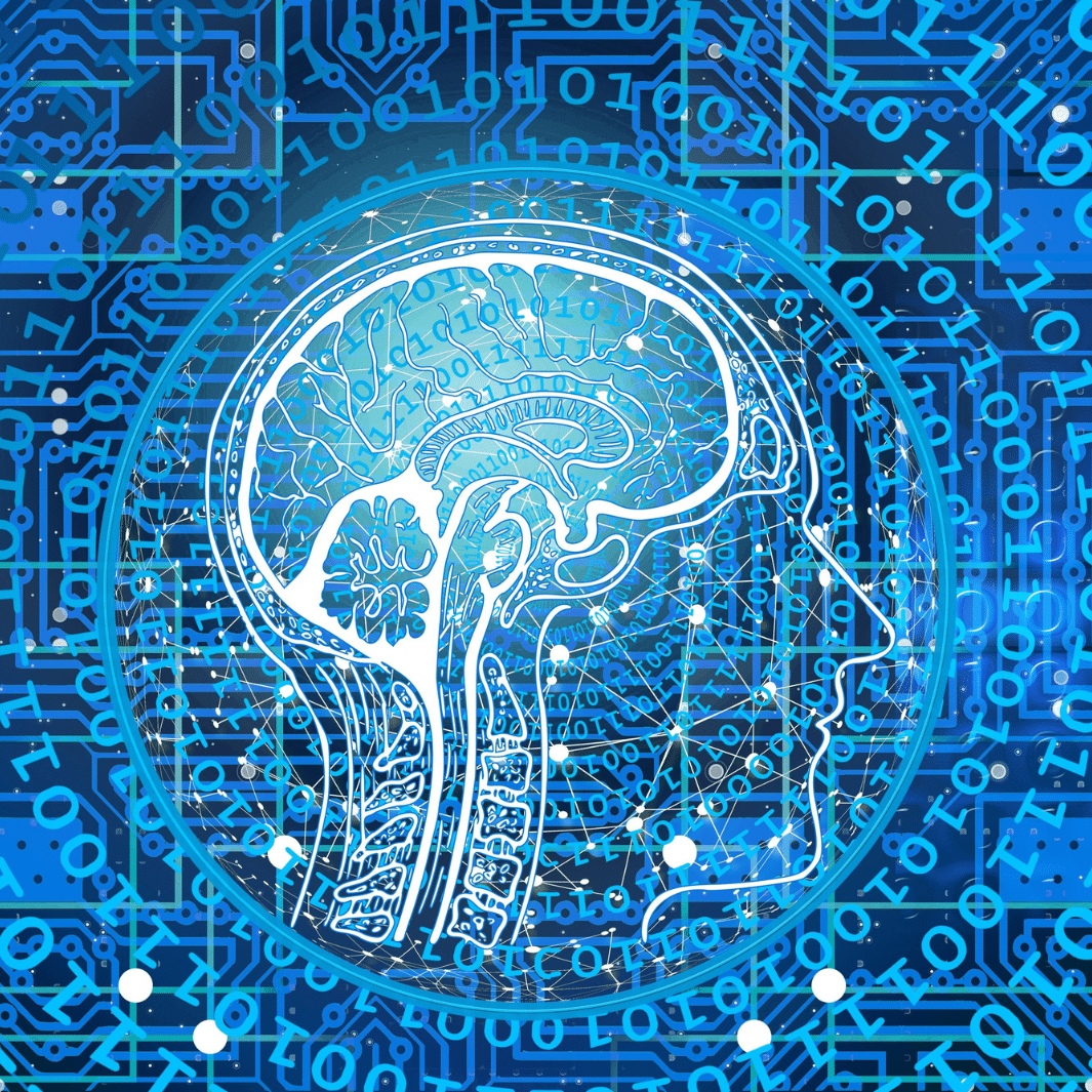 ouvertures albouy cerveau ia science ouverte